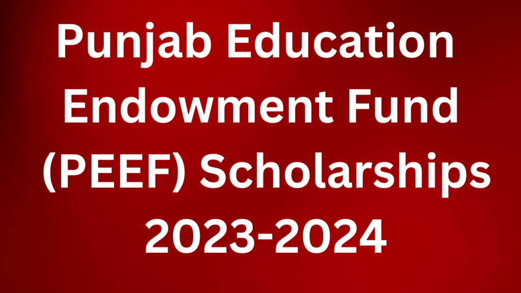 Punjab Education Endowment Fund (PEEF) Scholarships 2023-2024