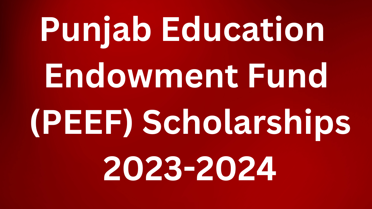 Punjab Education Endowment Fund PEEF Scholarships 2023 2024