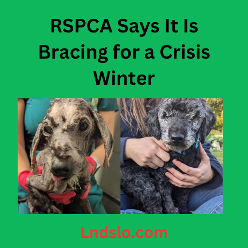 lndslocomrspca says it is bracing for a crisis winter