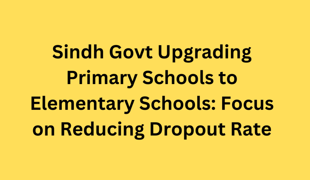 Sindh Govt Upgrading Primary Schools to Elementary Schools: Focus on Reducing Dropout Rate